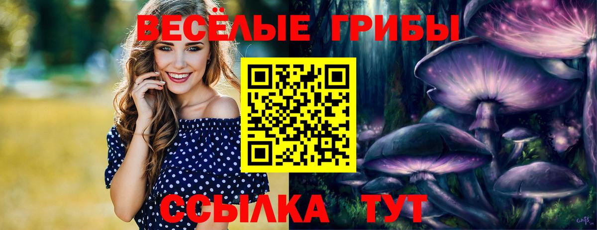 Галлюциногенные грибы мицелий  Псилоцибиновые грибы Psilocybe  Вход с VPN  Дубна 